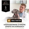 Purina Pro Plan Veterinary Diets NF Renal Function – drėgnas ėdalas šunims – 400g