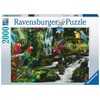 Ravensburger Dėlionė 2000 vnt. - Papūgos džiunglėse