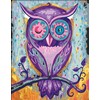 Tapymas pagal skaičius CreArt Dreaming Owl 28990 Ravensburger