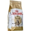 Royal canin bengal adult - sausas maistas dla dorosłego kota - 2kg