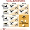 Royal Canin Bengal 10kg