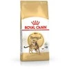 Royal canin bengal adult - sausas maistas dla dorosłego kota - 2kg