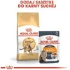 Royal Canin Bengal 10kg