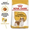 Royal canin bhn cavalier king charles spaniel adult - sausas maistas šuniui dorosłego - 1,5kg