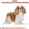 Royal canin bhn cavalier king charles spaniel adult - sausas maistas šuniui dorosłego - 1,5kg