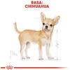 Royal canin bhn chihuahua adult - mokra maistas šuniui dorosłego - 12x85g
