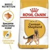 Royal canin bhn german sh ad - sausas maistas šuniui dorosłego - 11 kg