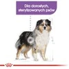 Royal canin ccn medium sterilised - sausas maistas šuniui dorosłego - 3kg
