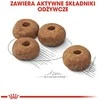 Royal canin ccn medium sterilised - sausas maistas šuniui dorosłego - 3kg