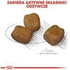 Royal canin ccn mini dental care - sausas maistas suagusiems psów - 3kg