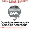 Royal canin ccn mini dental care - sausas maistas suagusiems psów - 3kg