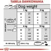 Royal canin ccn mini dental care - sausas maistas suagusiems psów - 3kg