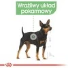 Royal canin ccn virškinimo priežiūros kepalas - šlapias maistas suaugusiam šuniui - 12x85g