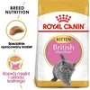 Royal Canin FBN British Shorthair Kitten - sausas maistas kačiukams - 2kg