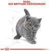 Royal Canin FBN British Shorthair Kitten - sausas maistas kačiukams - 2kg