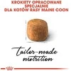Royal canin fbn maine coon adult - sausas maistas dla dorosłego kota - 10kg