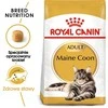Royal canin fbn maine coon adult - sausas maistas dla dorosłego kota - 10kg