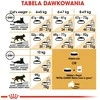 Royal canin fbn maine coon adult - sausas maistas dla dorosłego kota - 10kg
