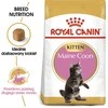 Royal canin fbn maine coon kitten - sausas maistas dla kociąt - 4kg