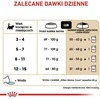 Royal canin fbn maine coon kitten - sausas maistas dla kociąt - 4kg