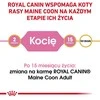 Royal canin fbn maine coon kitten - sausas maistas dla kociąt - 4kg