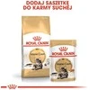 Royal canin fbn maine coon - mokra maistas dla dorosłego kota - 12x85g