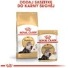 Royal canin fbn persian adult - sausas maistas suaugusiai katei - 4kg