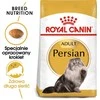 Royal canin fbn persian adult - sausas maistas suaugusiai katei - 4kg