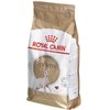 Royal canin fbn sphynx adult - sausas maistas dla dorosłego kota - 2kg