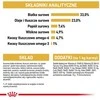 Royal canin fbn sphynx adult - sausas maistas dla dorosłego kota - 2kg
