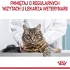 Royal canin fcn hairball care - sausas maistas katei dorosłego - 10 kg