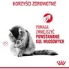 Royal canin fcn hairball care - sausas maistas katei dorosłego - 10 kg