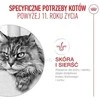 Sausas kačių ėdalas ROYAL CANIN FHN Ageing 11+, 400g