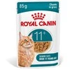 Kačių Maistas - Royal Canin Ageing 11+ Gabaliukai padaže 12x85g