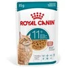 Kačių Maistas - Royal Canin Ageing 11+ Gabaliukai padaže 12x85g