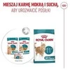Kačių Maistas - Royal Canin Ageing 11+ Gabaliukai padaže 12x85g