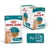 Kačių Maistas - Royal Canin Ageing 11+ Gabaliukai padaže 12x85g