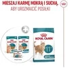 Kačių Maistas - Royal Canin Ageing 11+ Gabaliukai padaže 12x85g