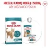 Kačių Maistas - Royal Canin Ageing 15+ Sausas Kačių Maistas 2kg Su Paukštiena 31% Baltymų