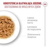Kačių Maistas - Royal Canin Ageing 15+ Gabaliukai padaže 12x85g