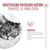 Kačių Maistas - Royal Canin Ageing 15+ Gabaliukai padaže 12x85g