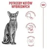 Kačių Maistas - Royal Canin Ageing 11+ Sterilised Sausas 4kg