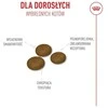 Kačių Maistas - Royal Canin Ageing 11+ Sterilised Sausas 400g Paukštienos Skonio