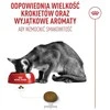 Kačių Maistas - Royal Canin Ageing 11+ Sterilised Sausas 4kg