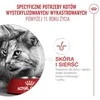 ROYAL CANIN FHN sterilizuotų kačių sausas sausas maistas (nuo 11 metų) 2kg
