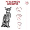 Kačių Maistas - Royal Canin Savour Exigent Sausas Kačių Maistas 400g Paukštienos Skonio