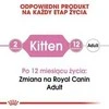 Royal canin fhn kitten Instinctive želė - šlapias maistas kačiukams - 12x85g