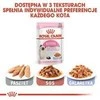 Royal canin fhn kitten Instinctive želė - šlapias maistas kačiukams - 12x85g