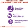 Royal canin fhn sensible - sausas maistas suaugusiai katei - 10 kg