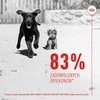 ROYAL CANIN Supplements Dog Immunity &amp; Digest Puppy - dog vitamins - 100g